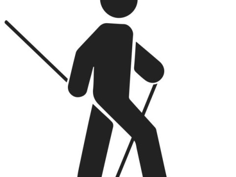 Man doing nordic walking icon vector.